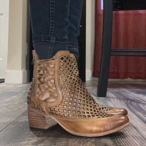 Freebird by Steven Cognac Lazor